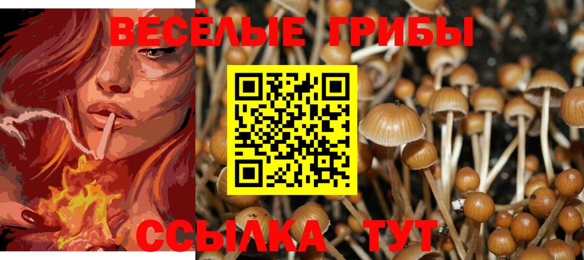 Галлюциногенные грибы Psilocybe  Вход с VPN  Ижевск 