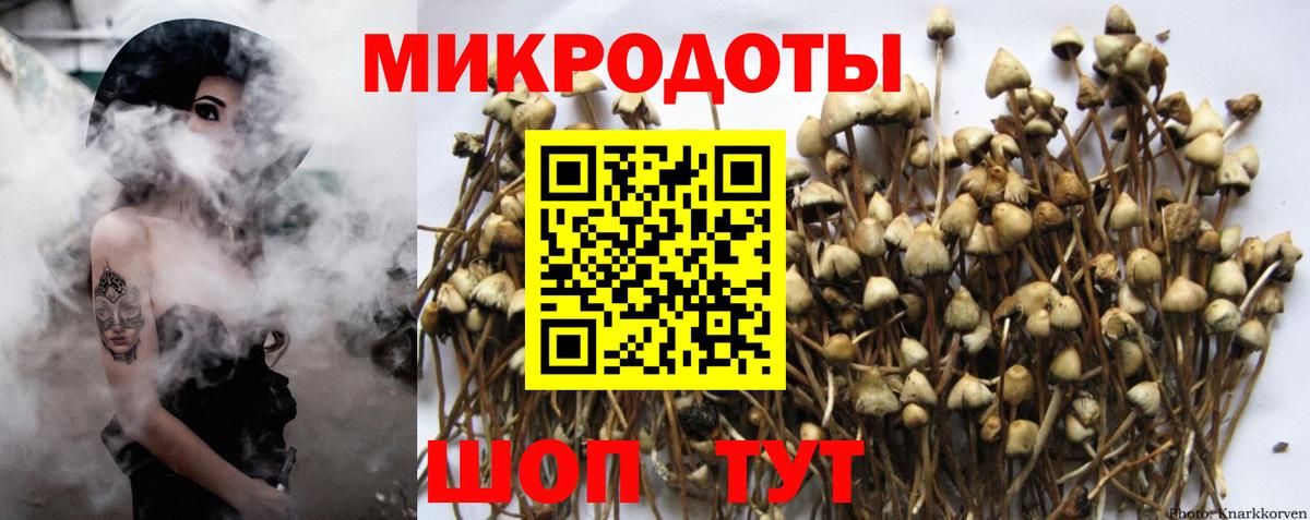 Галлюциногенные грибы GOLDEN TEACHER Ижевск