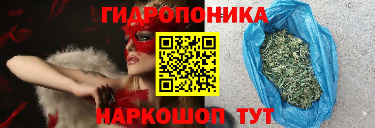 Конопля гибрид  Шишки марихуана конопля  Ижевск  Вход с VPN  Конопля тримм 
